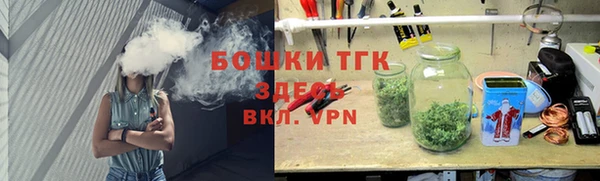 индика Абдулино
