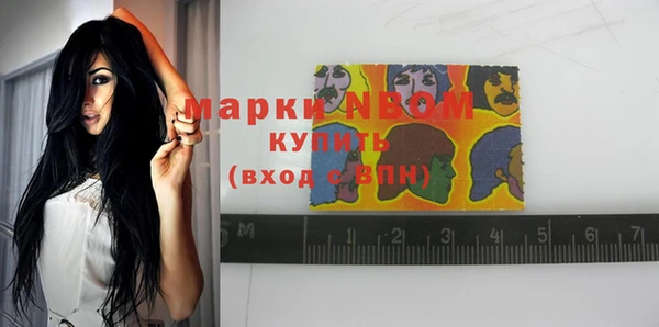 индика Абдулино