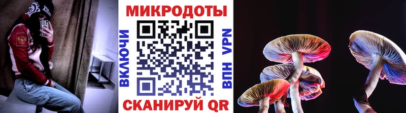 Галлюциногенные грибы Psilocybine cubensis OMG зеркало Яблоновский